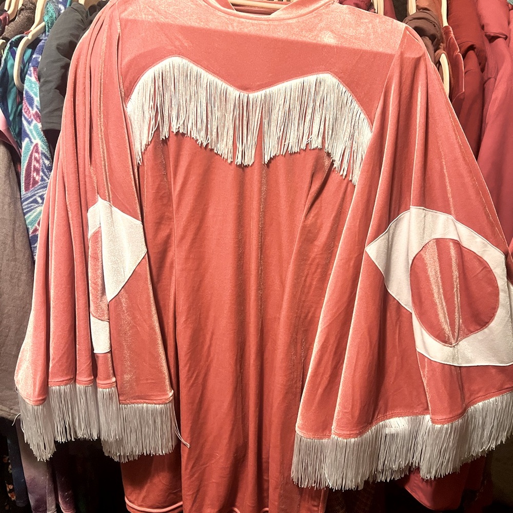 SOLD Fashion Brand Company NWOT rare pink moth eye velvet fringe mini dress XL - Picture 2 of 2